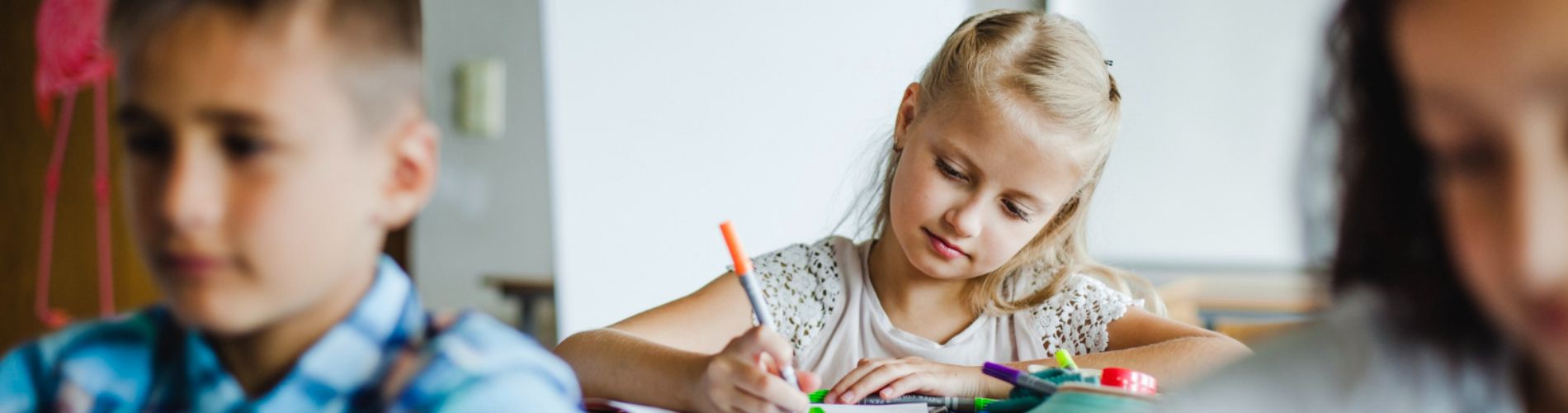 Servizi Educativi
